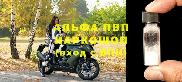 стафф Елизово