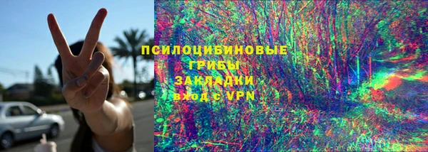 мет Ельня