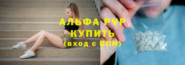 мет Ельня