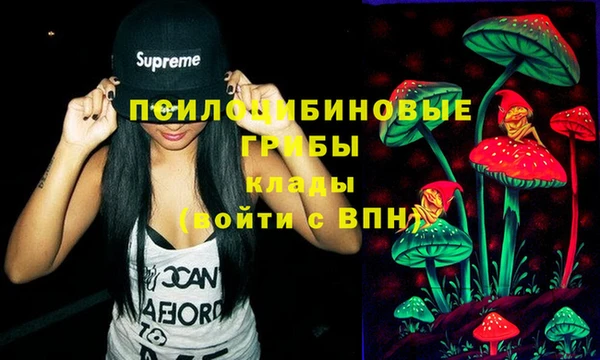 стафф Елизово