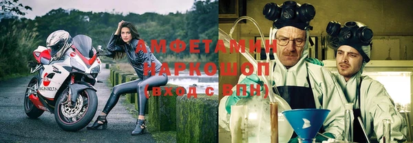 стафф Елизово