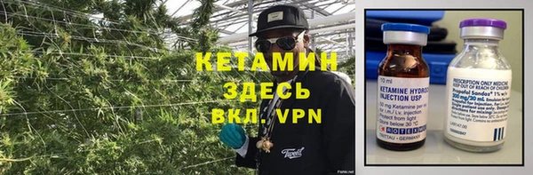 мет Ельня