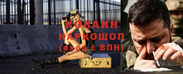 мет Ельня