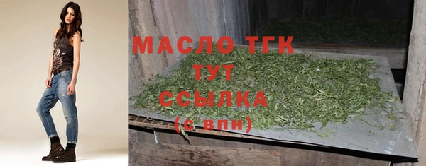 мет Ельня