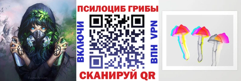 Купить  Конаково  Псилоцибиновые грибы мицелий 